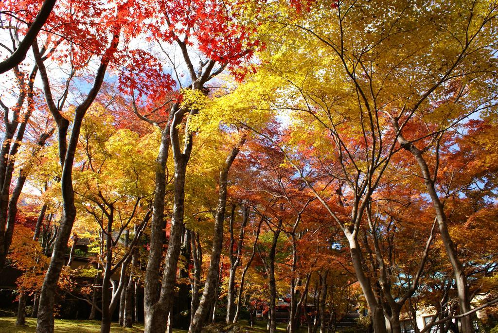 Yutorelo-An Annex Hakone Bagian luar foto
