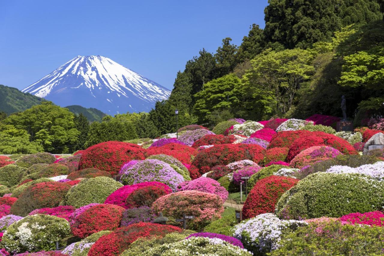 Yutorelo-An Annex Hakone Bagian luar foto